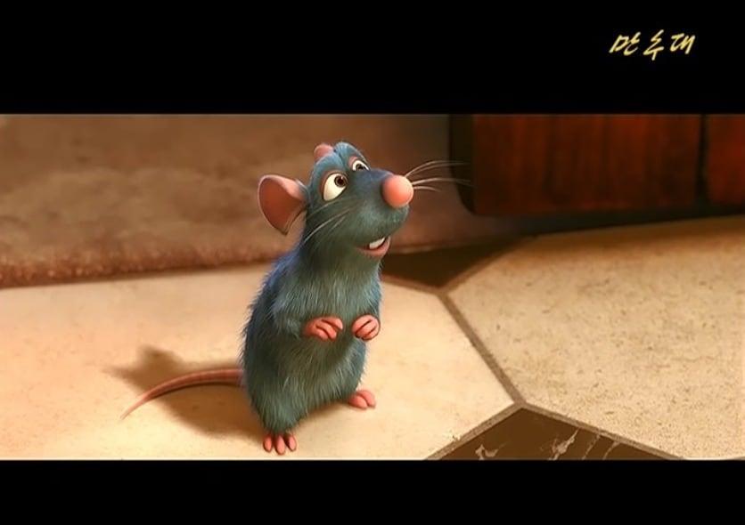 Disney·Pixar's Ratatouille aired on North Korea's Mansudae TV / Capture from 38 North
