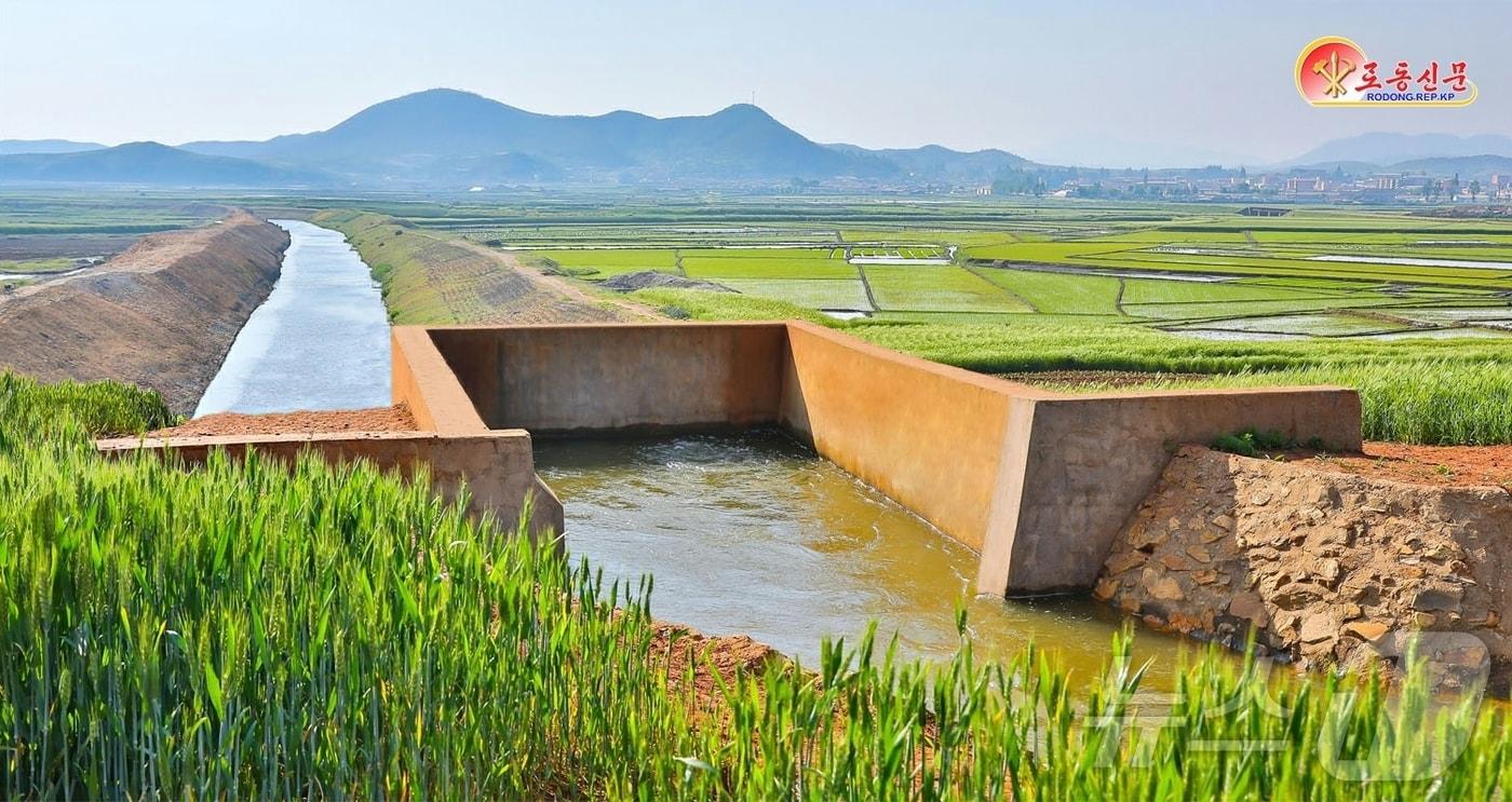 Rodong Sinmun