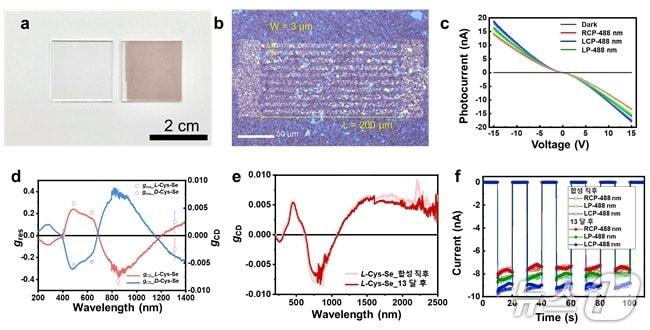 Selenium nanofilm capable of detecting circular polarization &#40;Provided by KAIST&#41; / News1