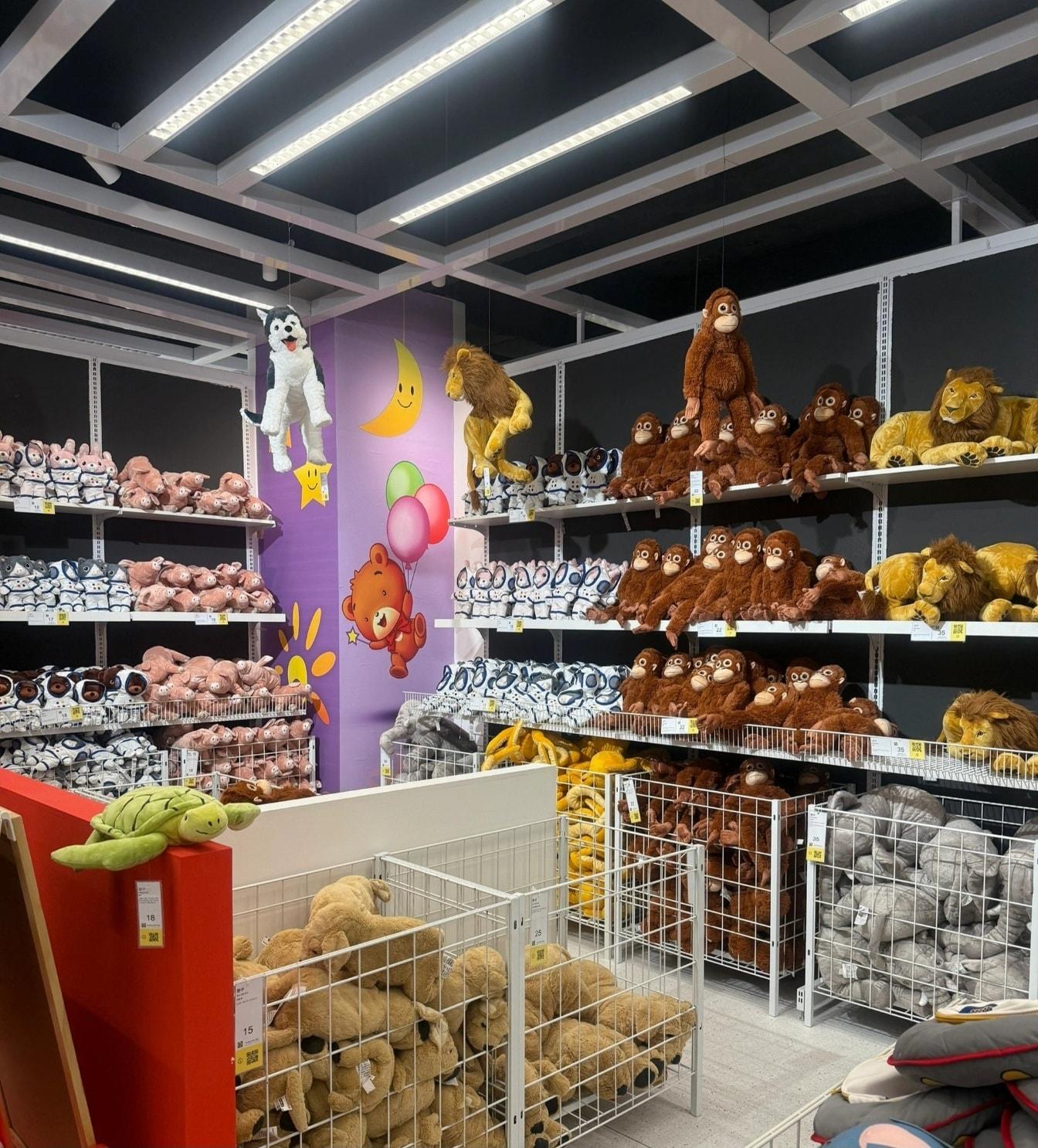 A Chinese person posted photos on their X &#40;formerly Twitter&#41; account claiming to have photographed items in North Korea that could be sold in an IKEA store / Screenshot from X