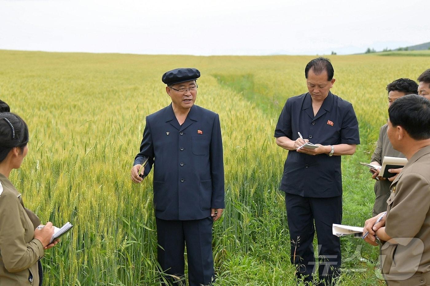 Rodong Sinmun 