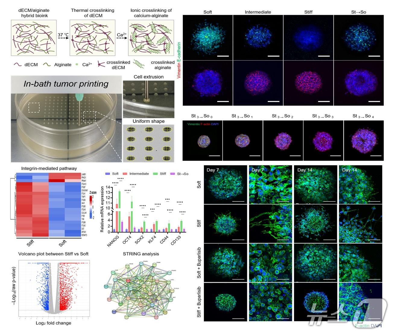 Images of research / Provided by Pusan National University