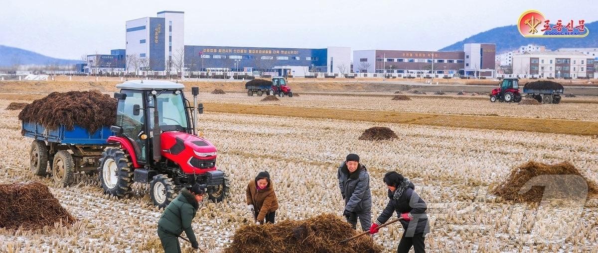 The Rodong Sinmun, the official newspaper of North Korea's Workers' Party, reported on February 1 that the township farm in Jaeryong County is intensifying preparations for the new year's farming season with high enthusiasm for achieving a bumper harvest / Rodong Sinmun