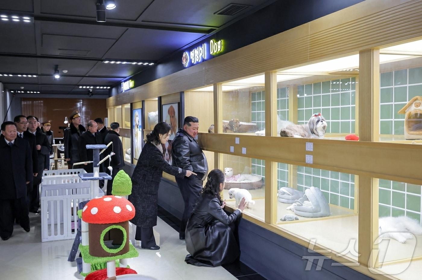 The Rodong Sinmun, the official newspaper of North Korea's Workers' Party, reported on Tuesday that the completion ceremony for the fourth phase of the 10,000-unit residential complex in the Hwasong District, concluding the monumental five-year capital construction plan, was grandly held on Monday, our nation's joyous holiday. Kim Jong Un, General Secretary of the Workers' Party, is seen touring an indoor pet shop alongside his daughter Ju Ae and Mrs. Ri Sol-ju / Rodong Sinmun