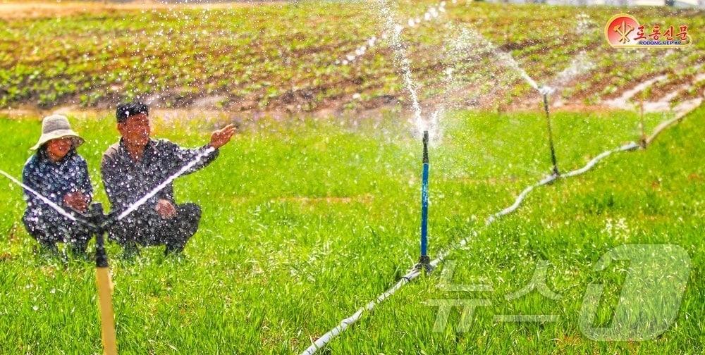 On April 19, Rodong Sinmun, the official newspaper of North Korea’s Workers’ Party, reported that the Songsin Vegetable Farm in Sadong District is thoroughly implementing measures to prevent drought damage / Rodong Sinmun