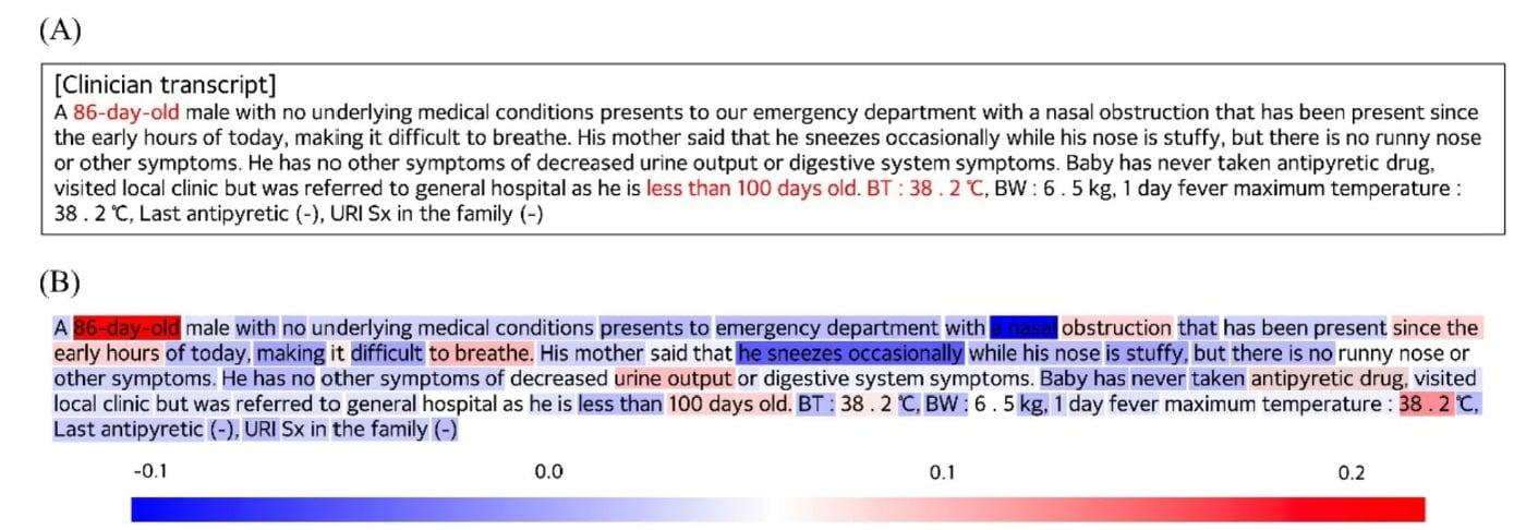 After training the model on medical records, the entries marked as important by the medical staff (A) matched those identified as important by the deep learning prediction model (B) / Provided by The Catholic University of Korea Seoul St. Mary's Hospital