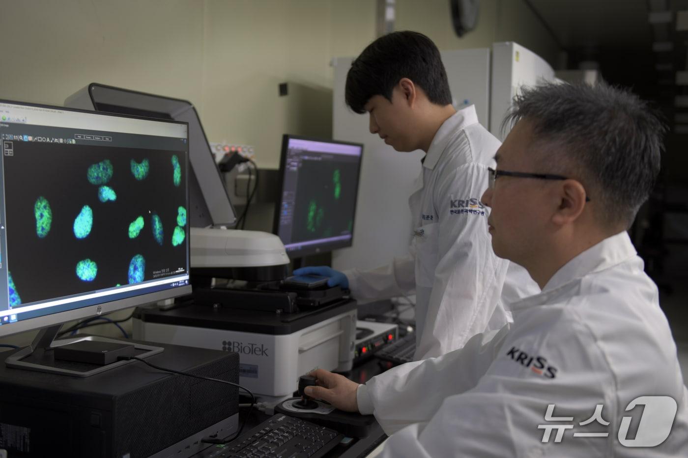 Researchers at the Korea Research Institute of Standards and Science observe cellular DNA damage and repair responses through fluorescence imaging. / Courtesy of KRISS