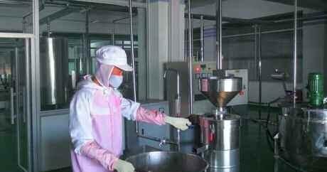 Unlocking North Korean Spirits: What You Need to Know About the Return of Goryeo Doenjang Liquor and Bog Bilberry Brandy in 2026