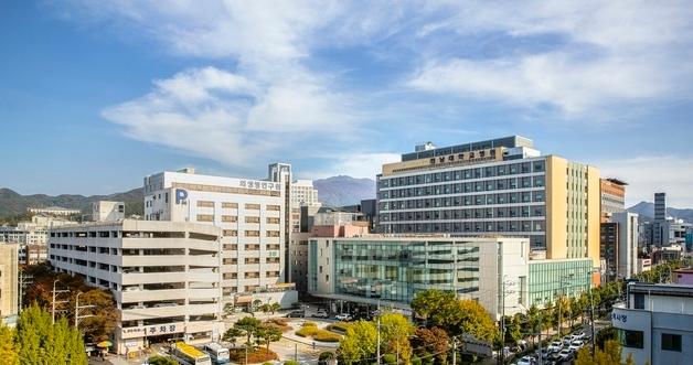 World’s Leading Longevity Researchers Gather in South Korea for Premier Centenarian Science Conference