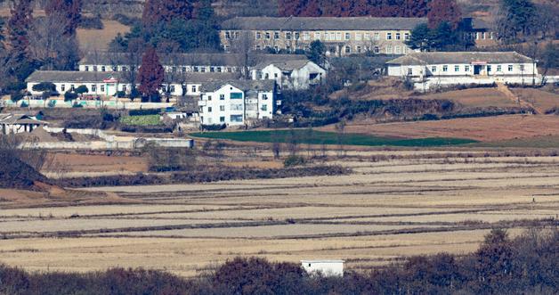 North Korea's Food Production Nearing Normalization With 4.6% Rise In Rice Despite Corn Harvest Hit By Adverse Weather
