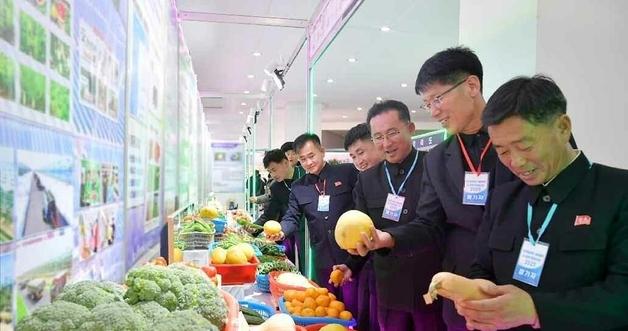 National Exhibition of Agricultural Research Findings Opens; Head of Agricultural Science Agency Travels to Russia [Daily NK]