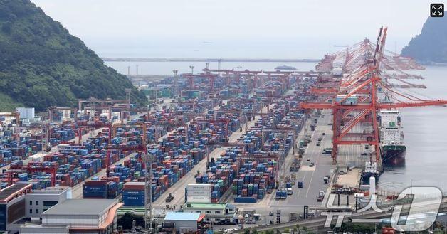 2025 Population Trends: Will Korea's Birth Rate Continue to Rise?