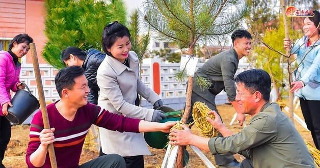 North Korea Urges Citizens to Plant Trees for the Future: ‘Patriotism First’