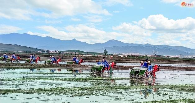 North Korea's Economy: 10% Growth Amidst Challenges – What Lies Ahead for 2026?