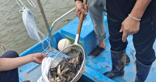 No Radiation in River Fish Near North Korea, Say Korean Officials