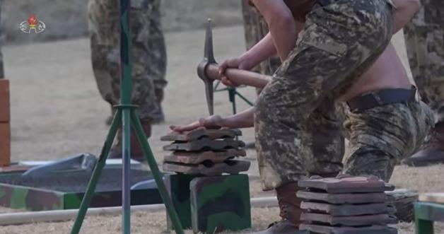 "FLESH AGAINST AXES" The Sickening Cruelty of Pyongyangs Human Shield Show