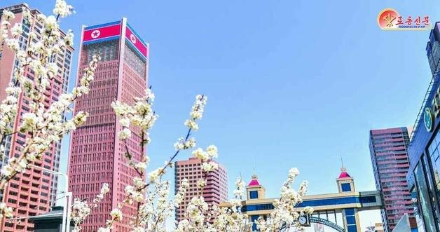 U-20 Women's Asian Cup: North Korea Triumphs Over Australia 3-0 – What’s Next?