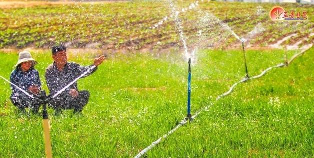 North Korea Faces Severe Drought: How Will It Impact Agriculture in 2026?