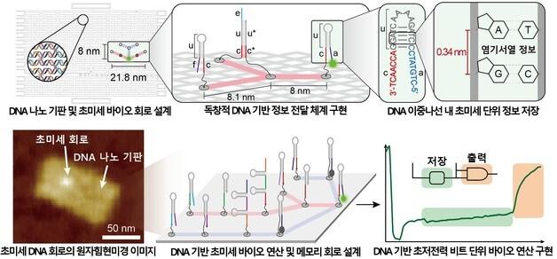 How KAIST's New DNA Bio Transistor Could Transform Semiconductor Technology Forever