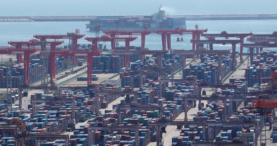 HMM vs. Pan Ocean: Which Shipping Giant Will Thrive Amid Soaring LNG and Container Freight Rates?