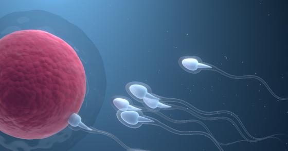 Revolutionary Male Contraceptive: New Method Halts Sperm Production Without Hormonal Side Effects