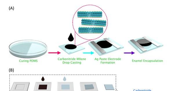UNIST Researchers Develop Ultra-Sensitive Skin-Attachable Sensor Material for Detecting Subtle Bodily Signals