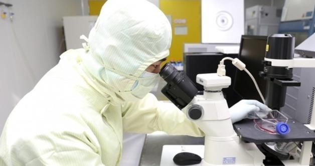 U.S., Japan and China Advance Stem Cell Commercialization While Korea Works to Close Gaps