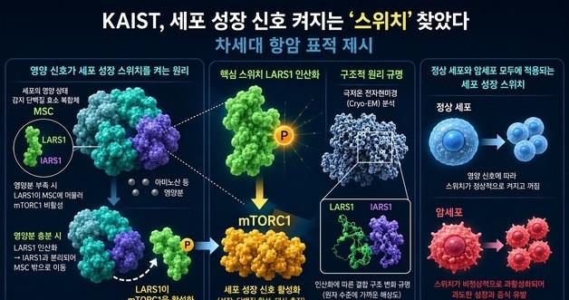 Unlocking Cell Growth: How LARS1 Protein Transforms Nutritional Signals into Cancer Treatment Insights